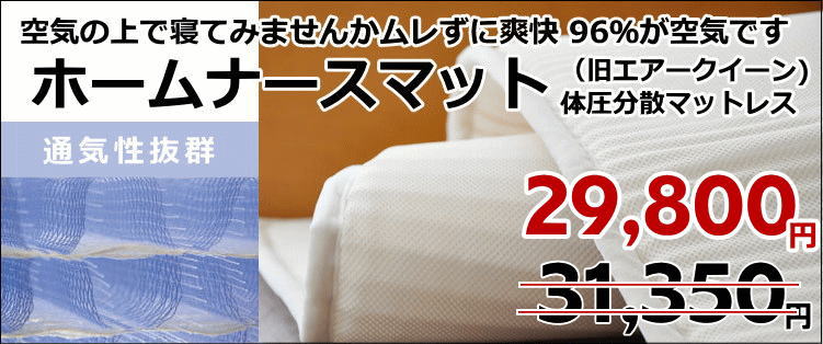 専用になります！ アツキオオニシ ダウンケット 王華｜ダウンケット | スタイレムギフトコレクション | STYLEM GIFT